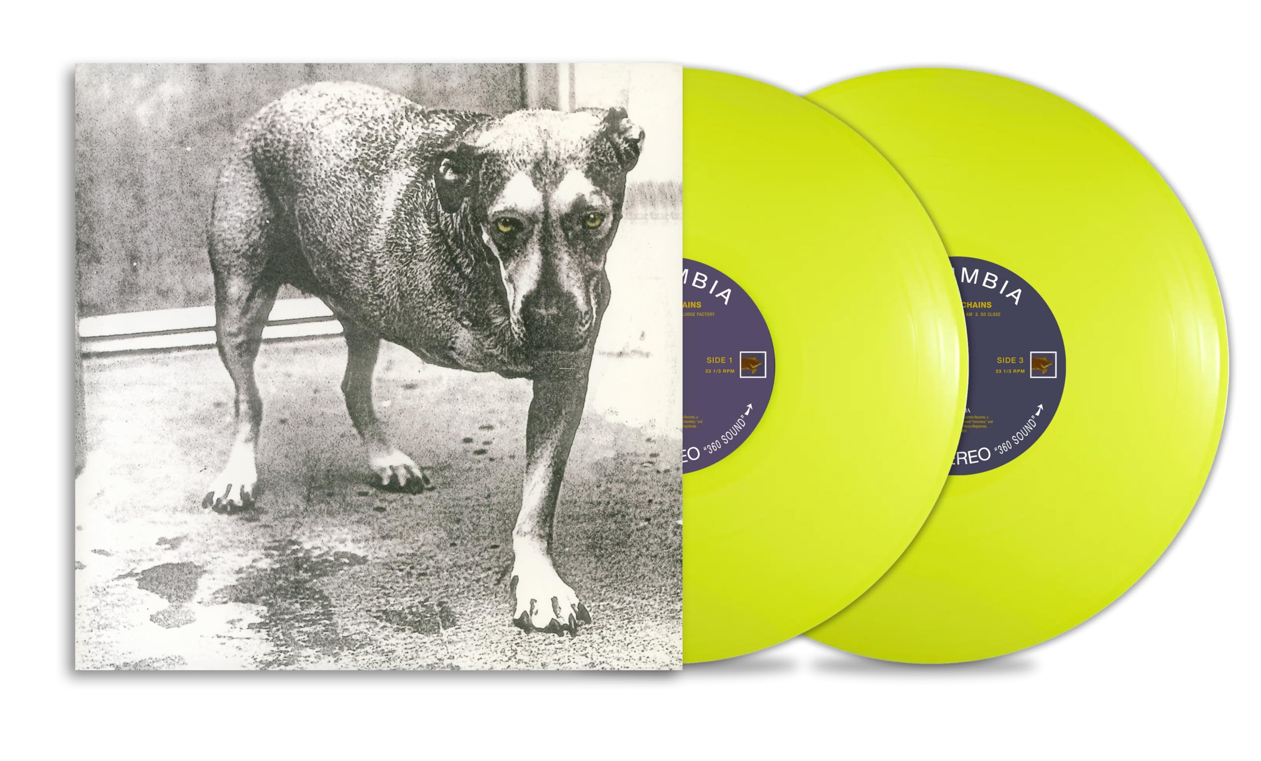 Alice In Chains, Alice In Chains