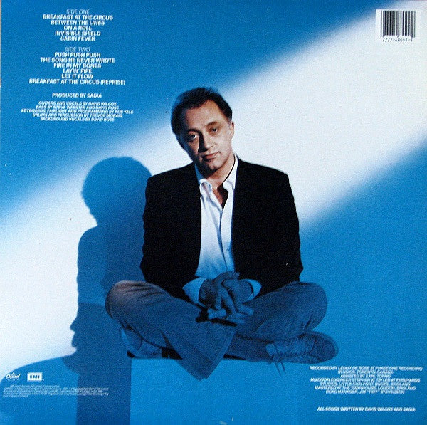 David Wilcox - Breakfast at the Circus