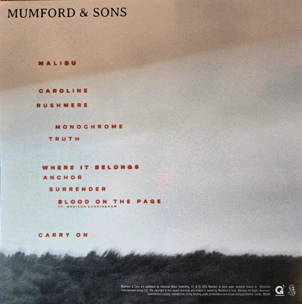 Mumford and Sons - Rushmere Liquid Filled Record - Locked Groove Records