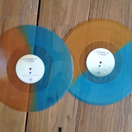 The Sam Roberts Band - Lo-Fantasy 2LP Signed by Band - Locked Groove Records